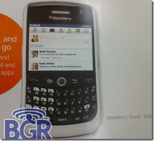 Blackberry_fr_01 2024-11-08