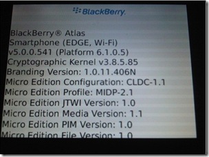 Blackberry_fr_34 2024-04-27