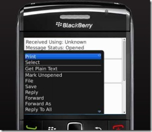 Blackberry_fr_30 2024-04-27