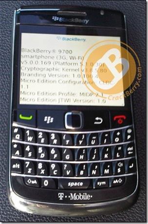 Blackberry_fr_04 2024-08-18