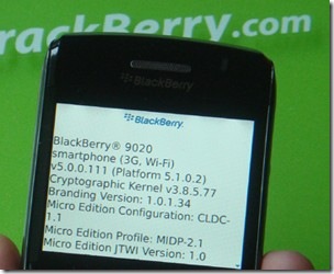 Blackberry_fr_06 2024-06-21