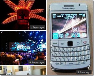 Blackberry_fr_38 2024-04-27