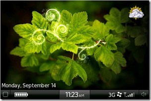 Blackberry_fr_11 2024-09-23