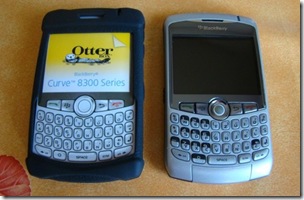 Blackberry_fr_09 2024-06-02